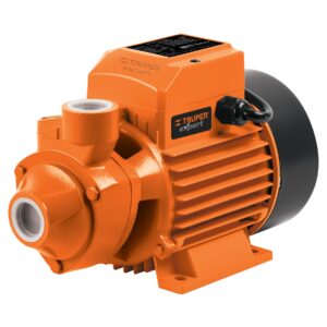 Bomba periférica de 3/4 hp, Expert