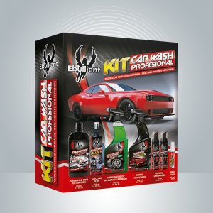 Kit car wash profesional